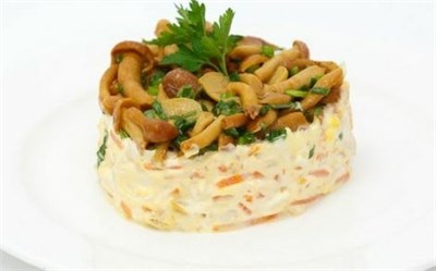 Таёжный с грибами  00097