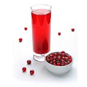 Морс Брусничный 250мл 00722